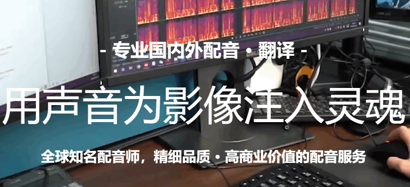 中文配音的纪录片