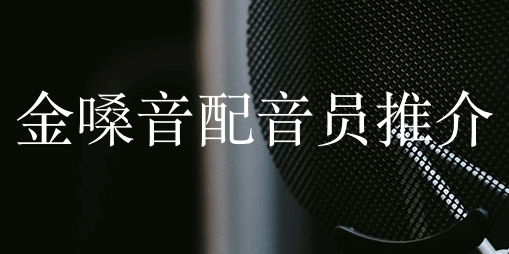 广告配音专题片配音网